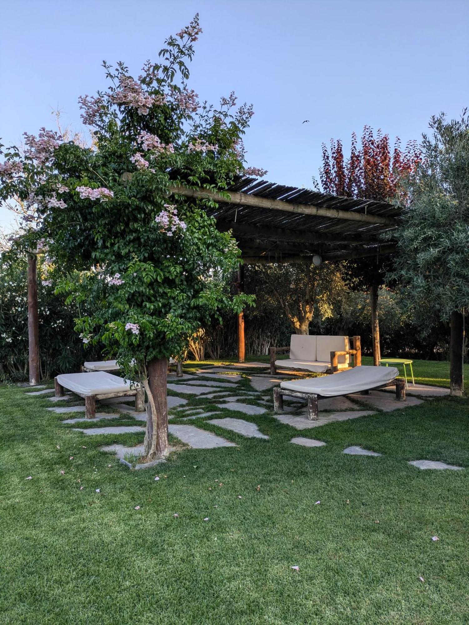Casas De Juromenha Guest House Bagian luar foto